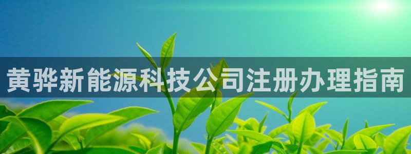 sunbet中文