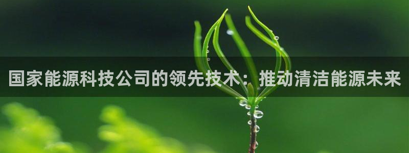 sunbet程序