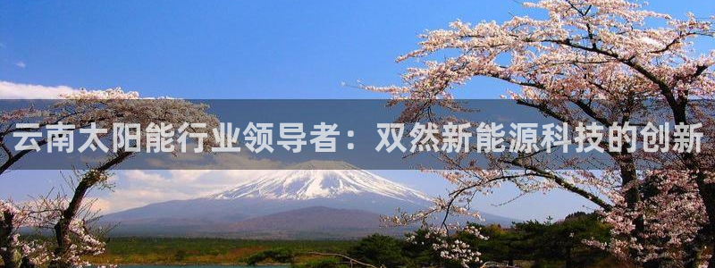 sunbet申搏地址