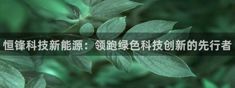 sunbet程序