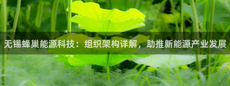sunbet官网welcome
