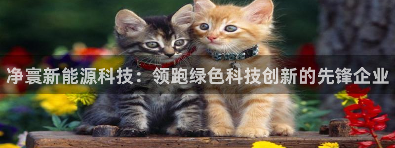 sunbet官网app首页