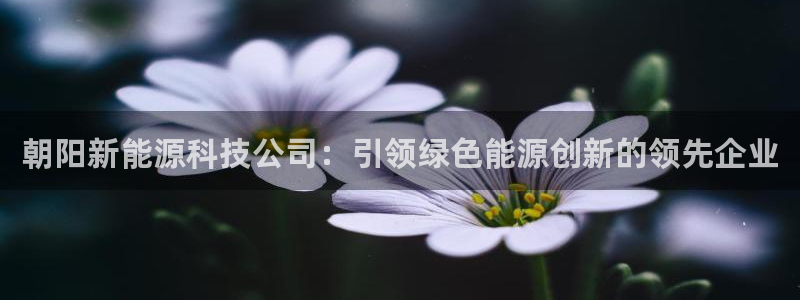sunbet手机端