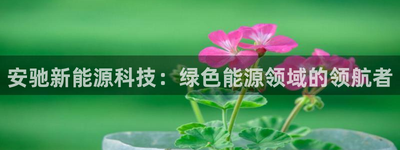 sunbet手机app版