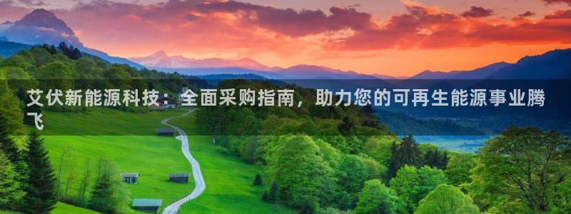 sunbet程序