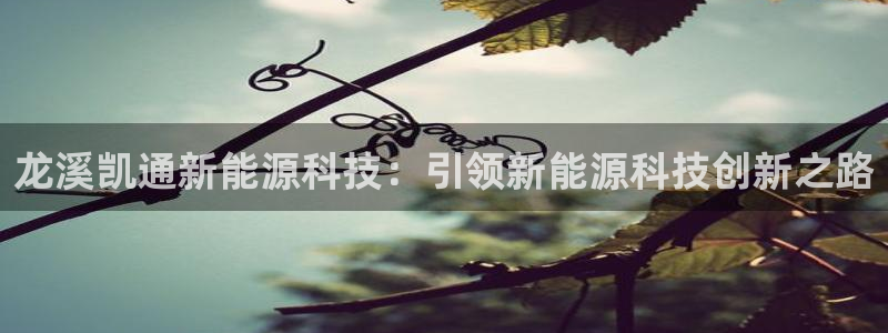 申博视讯