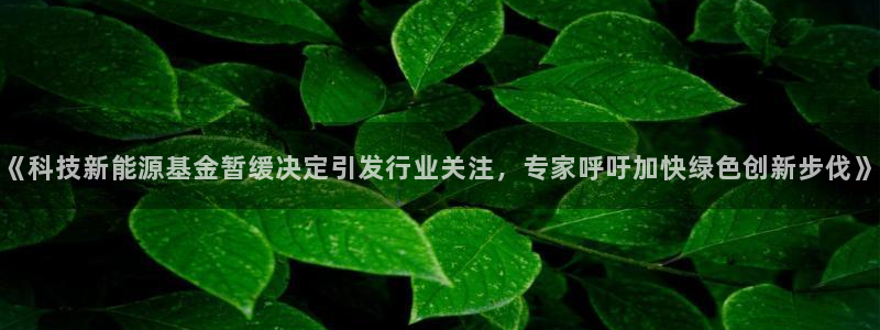 sunbet首页登录入口